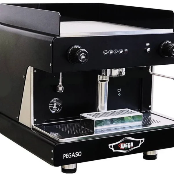 Wega Pegaso EVD 1 Group, black, front three-quarter view