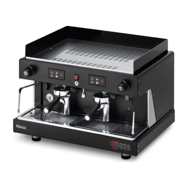 Wega Pegaso EVD 2 Group, black, front three-quarter view