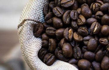 Freshly roasted coffee beans from Panica Coffee Melbourne Freshly roasted coffee beans from Panica Coffee Melbourne